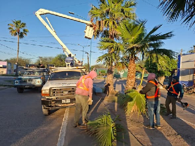 Imagen Noticia